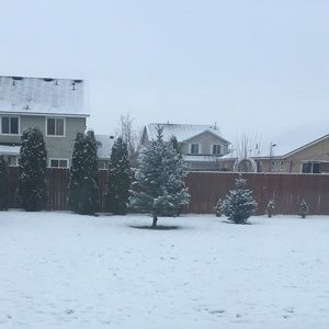 Meet your Posher, Sandy